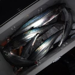 BlueNote Fishing Taxi 釣果