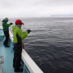 BlueNote Fishing Taxi 釣果