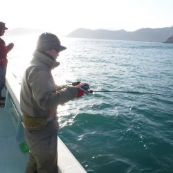 ＢｌｕｅＮｏｔｅ　Ｆｉｓｈｉｎｇ　Ｔａｘｉ 釣果