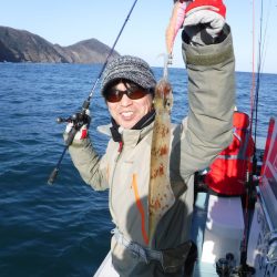 ＢｌｕｅＮｏｔｅ　Ｆｉｓｈｉｎｇ　Ｔａｘｉ 釣果