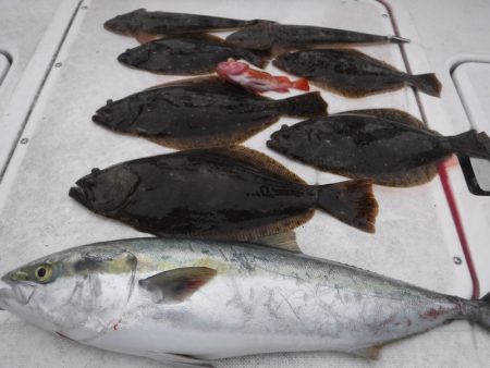 JDI Racing シールズマリンレジャー 釣果