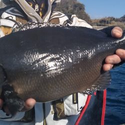 宮島丸 釣果