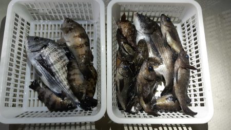 KIM Fishing Guide Ser…