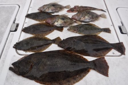 ＪＤＩ　Ｒａｃｉｎｇ　シールズマリンレジャー 釣果