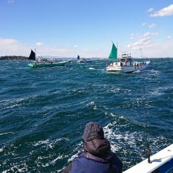 深川 吉野屋 釣果