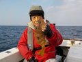 釣船 キティ 釣果