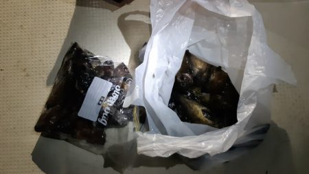 KIM Fishing Guide Ser…