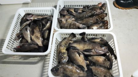 KIM Fishing Guide Ser…