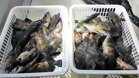 KIM Fishing Guide Service 釣果