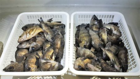 KIM Fishing Guide Ser…