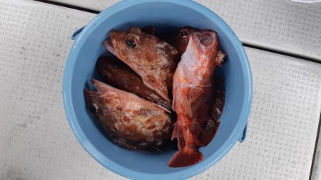 KIM Fishing Guide Service 釣果