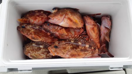 KIM Fishing Guide Ser…