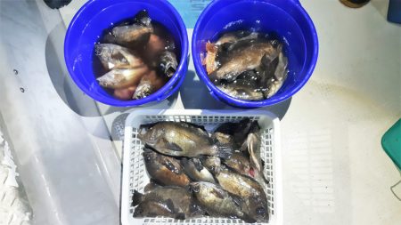 KIM Fishing Guide Ser…