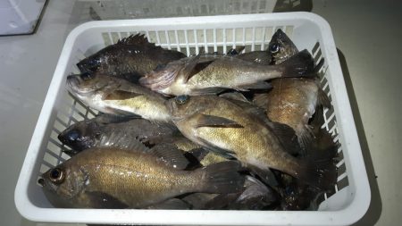 KIM Fishing Guide Ser…