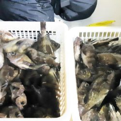 KIM Fishing Guide Service 釣果