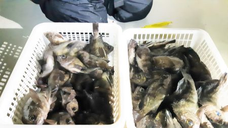 KIM Fishing Guide Ser…