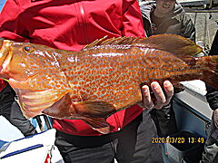 遊漁船 未紗奈 釣果