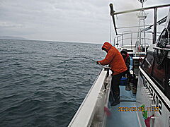 遊漁船 未紗奈 釣果