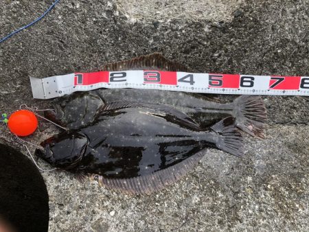 60㎝オーバー2匹