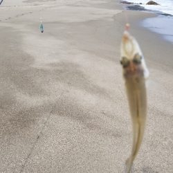 今年、初釣り‼️