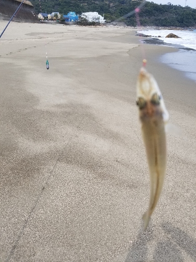 今年、初釣り‼️