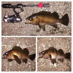 メバリング1905〜1934 2105〜2149