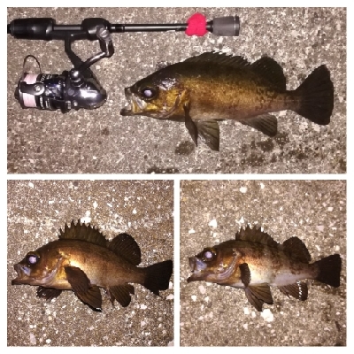 メバリング1905〜1934 2105〜2…