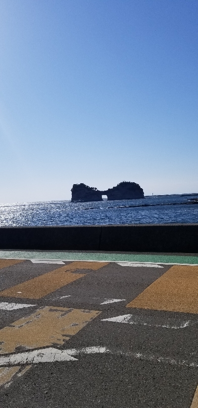 今年初エギング