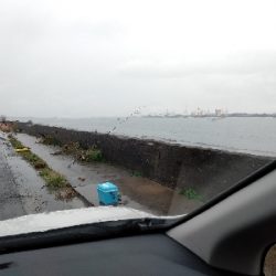 雨上がり狙いでカレイ釣り