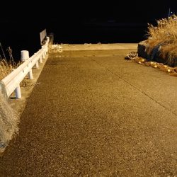 プラッキングはおもしろい