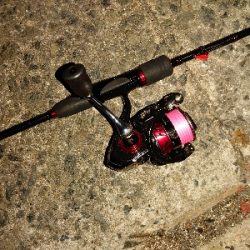 今日は渋かった