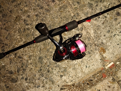 今日は渋かった