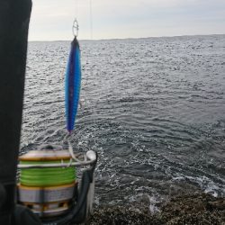 粘って粘ってなんとかゲット!