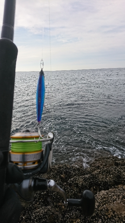 粘って粘ってなんとかゲット！