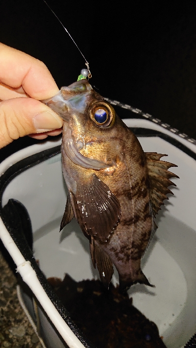 短時間入れ食い！