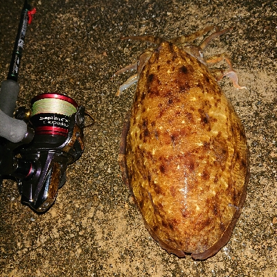 風と波がキツかった