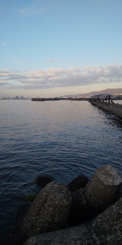 サバはどこへ…