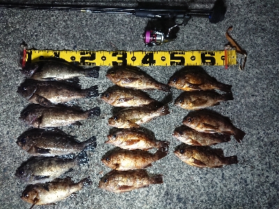 ちょこっとメバリング