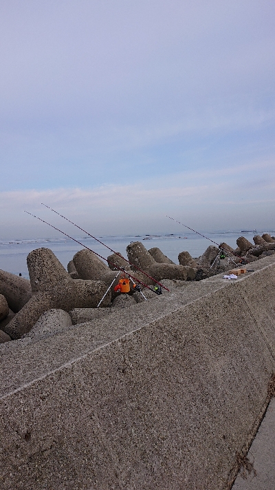 カレイ狙い、他