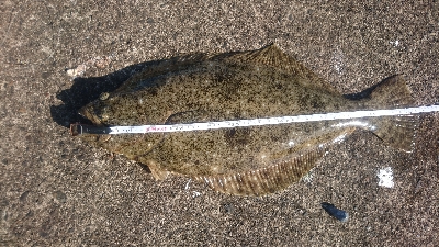 クーラー…大きいの欲しいなー