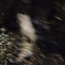 春一番のマグエ❗