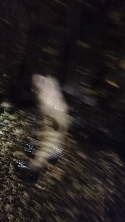 春一番のマグエ❗