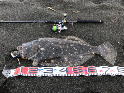 手負いの座布団