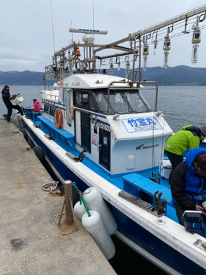 今年初イカメタルはヤリイカ
