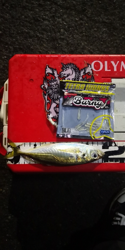 アジング 練習 120