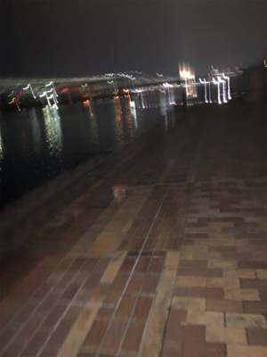 タケノコ狩り。