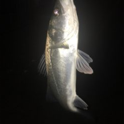 強風の中なんとか