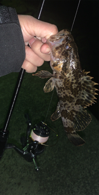 表層と思ったら底