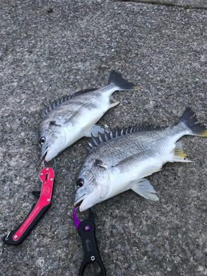 ダブルからの…