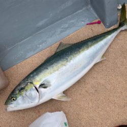 ドリームチェイサー丹後沖ジギング